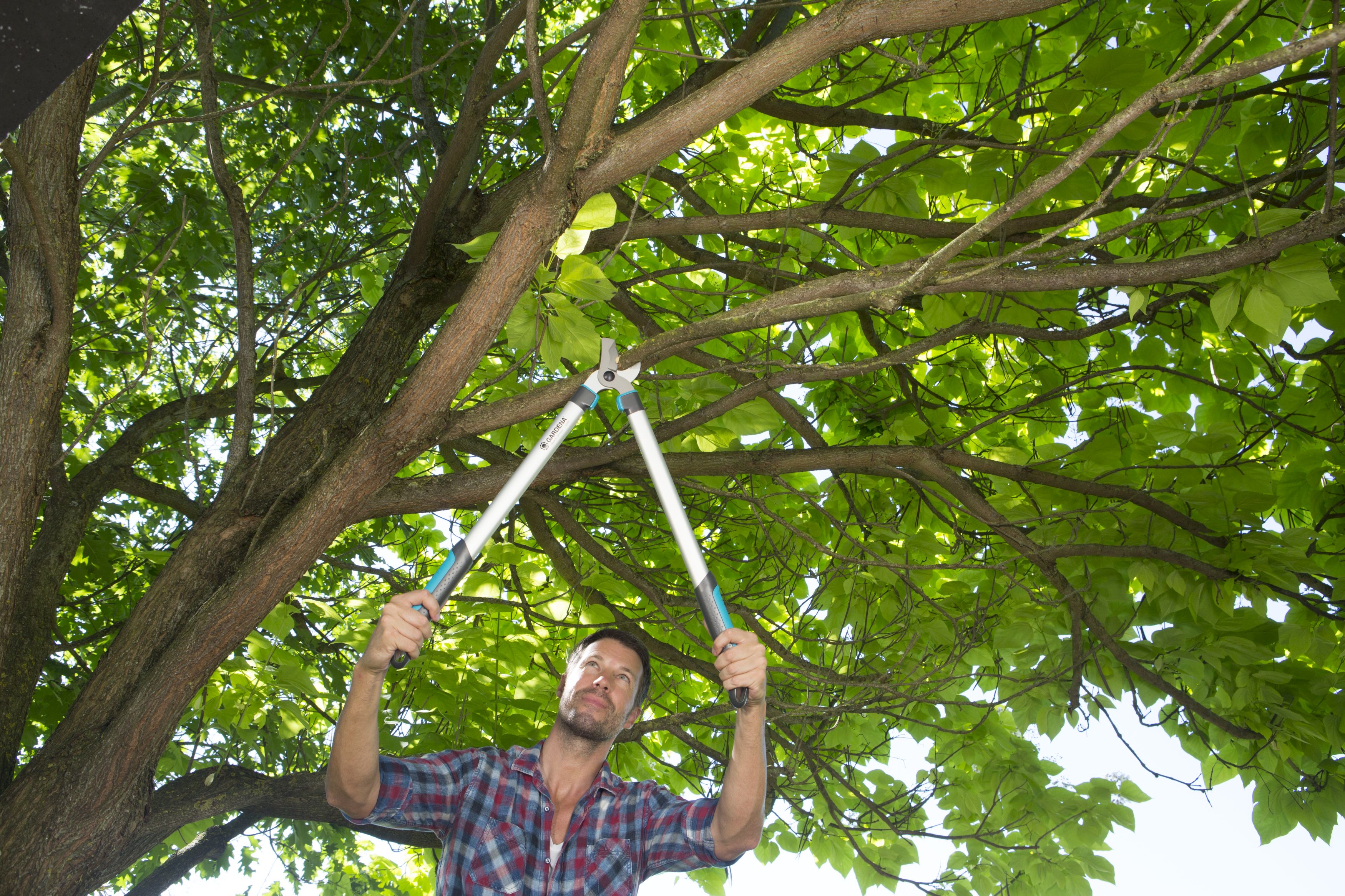 Pruning Lopper Easy Cut 680 B