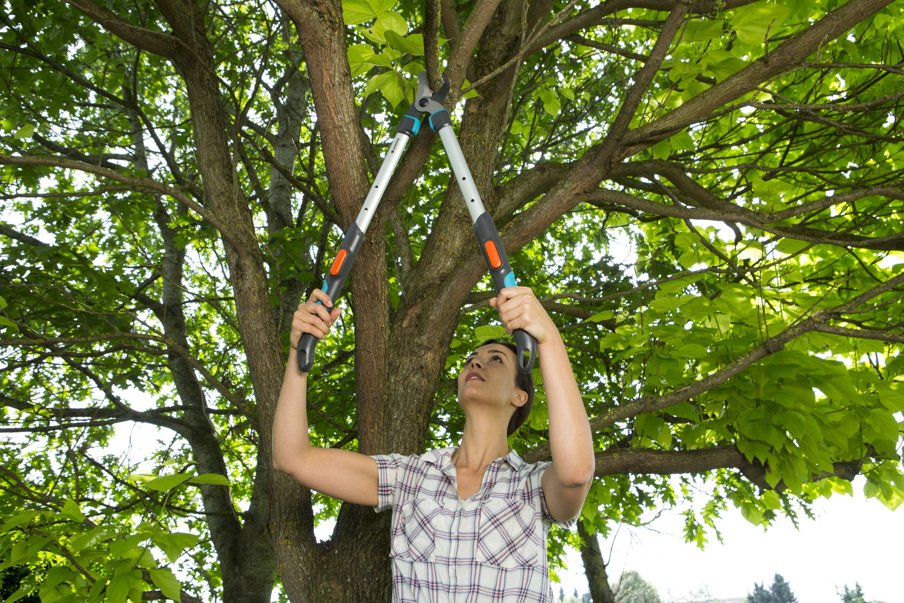 Pruning Lopper Tele Cut 520-670 B