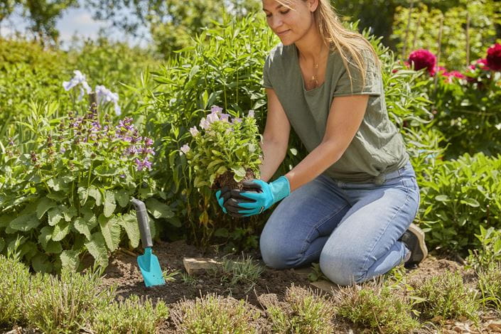 ხელთათმანი სარგავი Planting and soil glove S Gardena