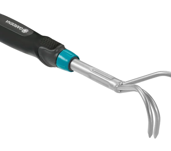 საფხვიერებელი