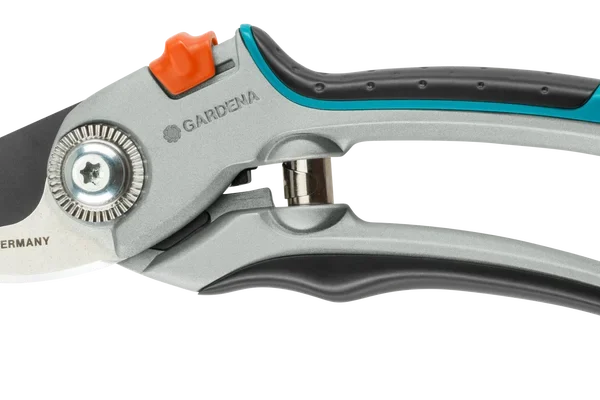 სეკატორი  B/L