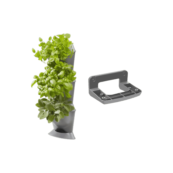 კუთხის ქოთანი შიდა მცენარეებისთვის