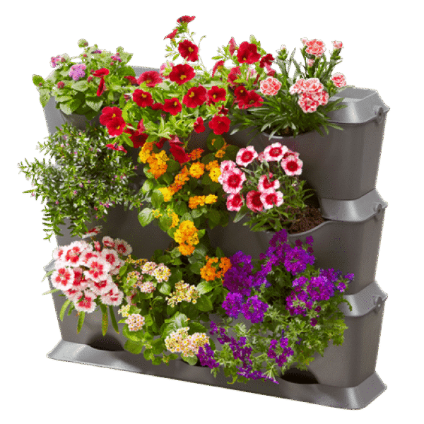 ქოთნის კომპლექტი ვერტიკალური