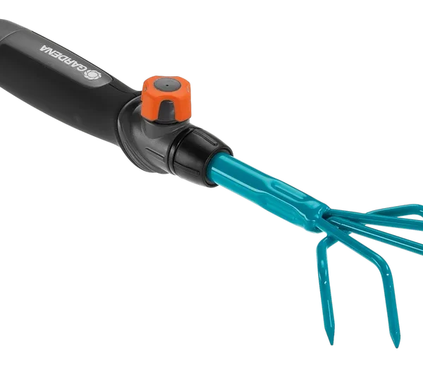 საფხვიერებელი