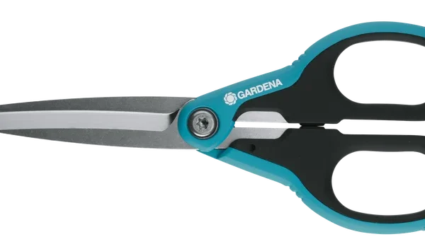 მაკრატელი XL