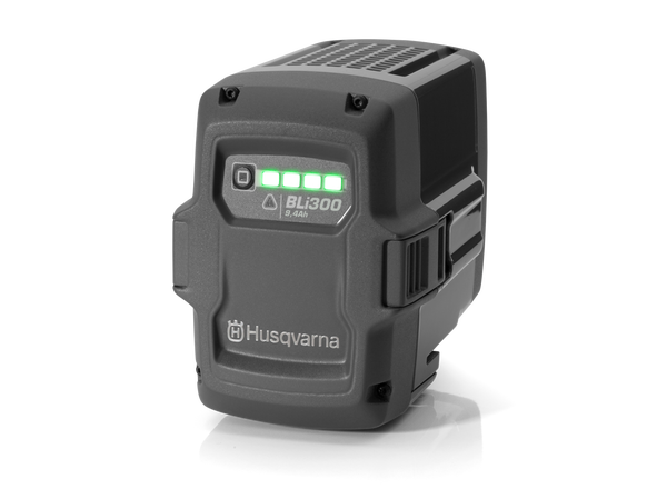 ელემენტი BLI300